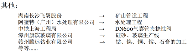 立式衬胶止回阀业绩